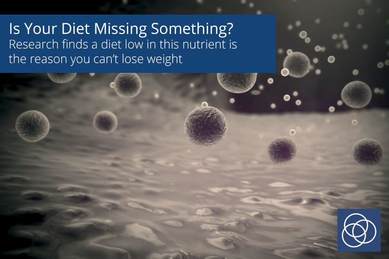 fiber for weight loss